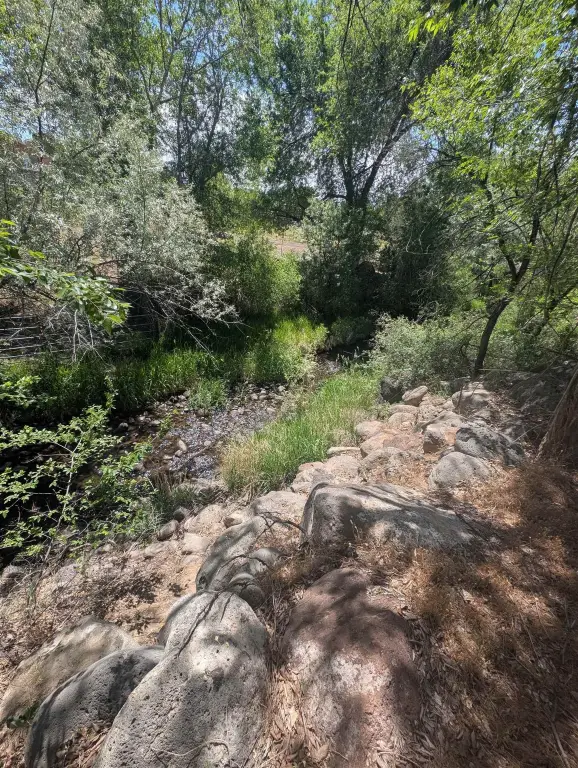 Picture 14