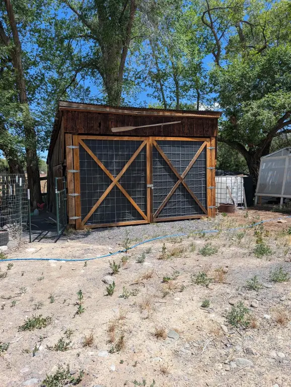 Picture 6
