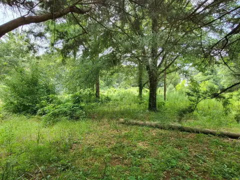 Residential Land Near Petal, MS
