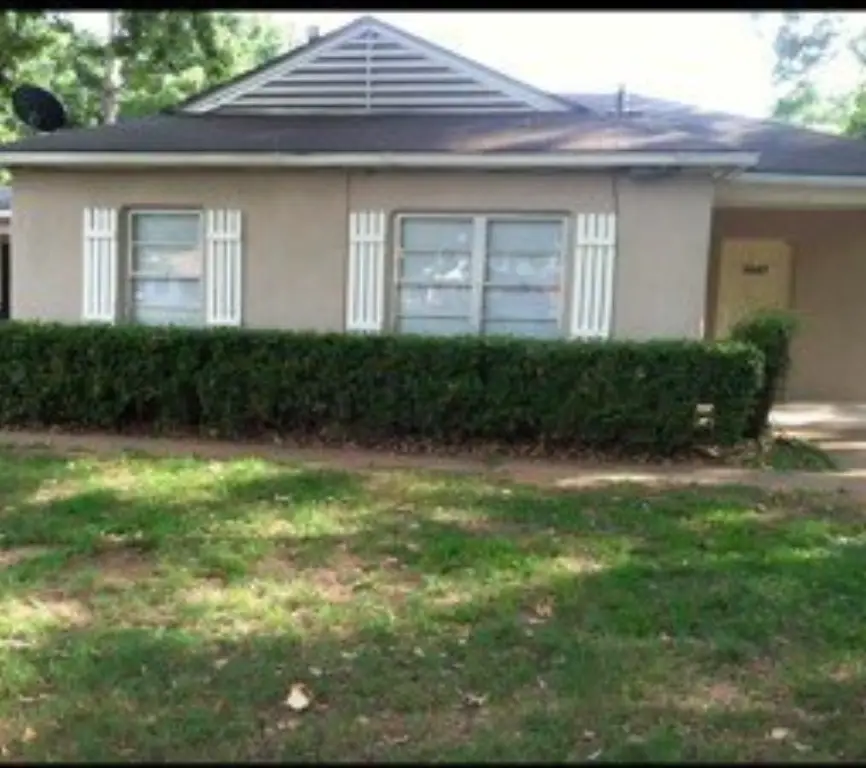 Picture 3