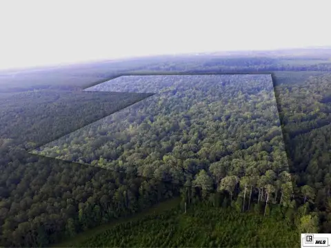 Hunting Land with Timber