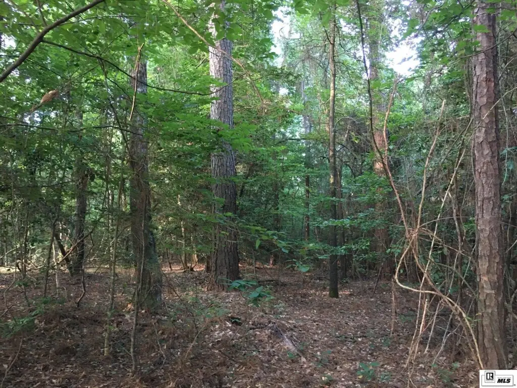 Picture 19