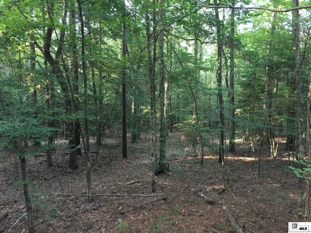 Picture 24