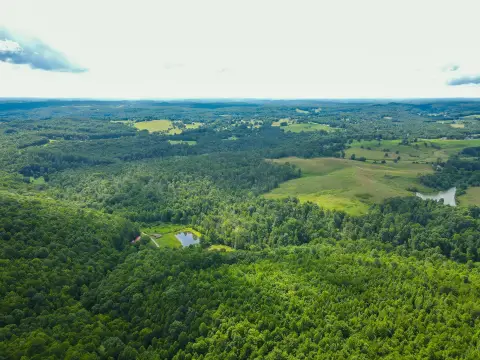 Recreation Land with Pond and Woodlands
