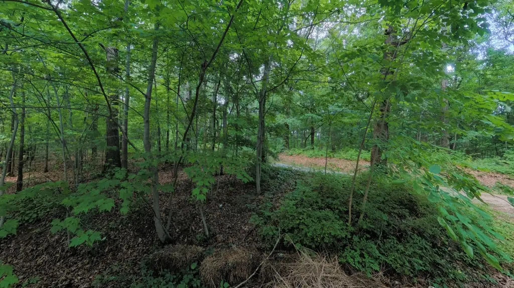Picture 7