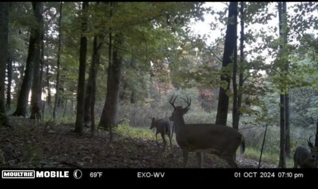 Picture 6
