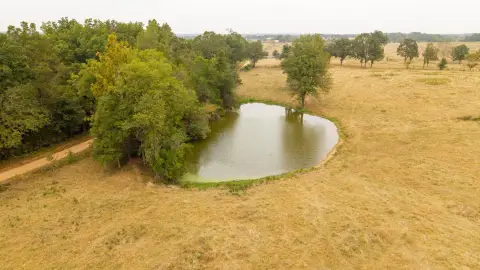 81 Acres of Fenced Pasture