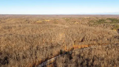 Highway Frontage Timbered Hunting Land