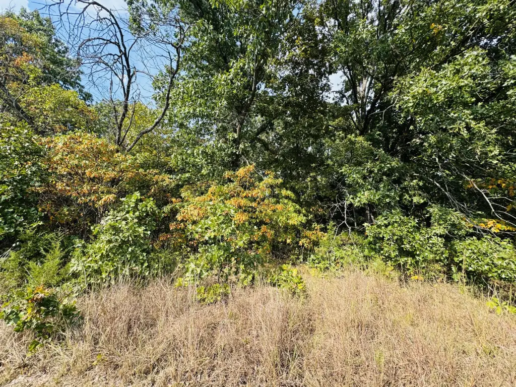 Picture 6