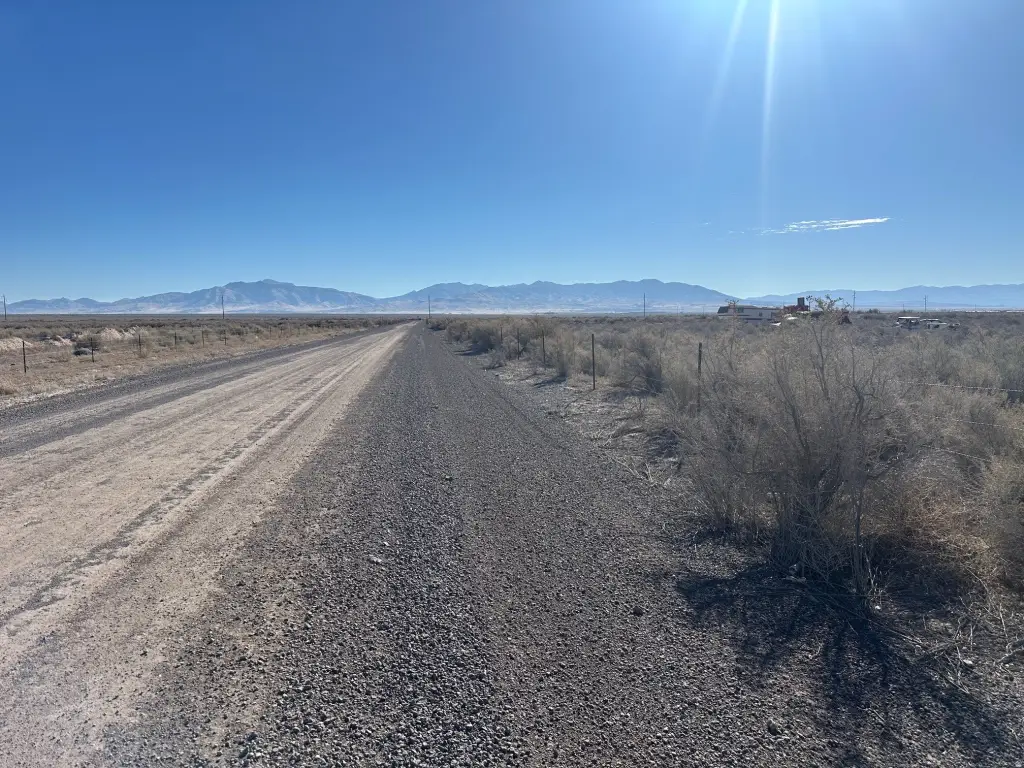 Picture 5