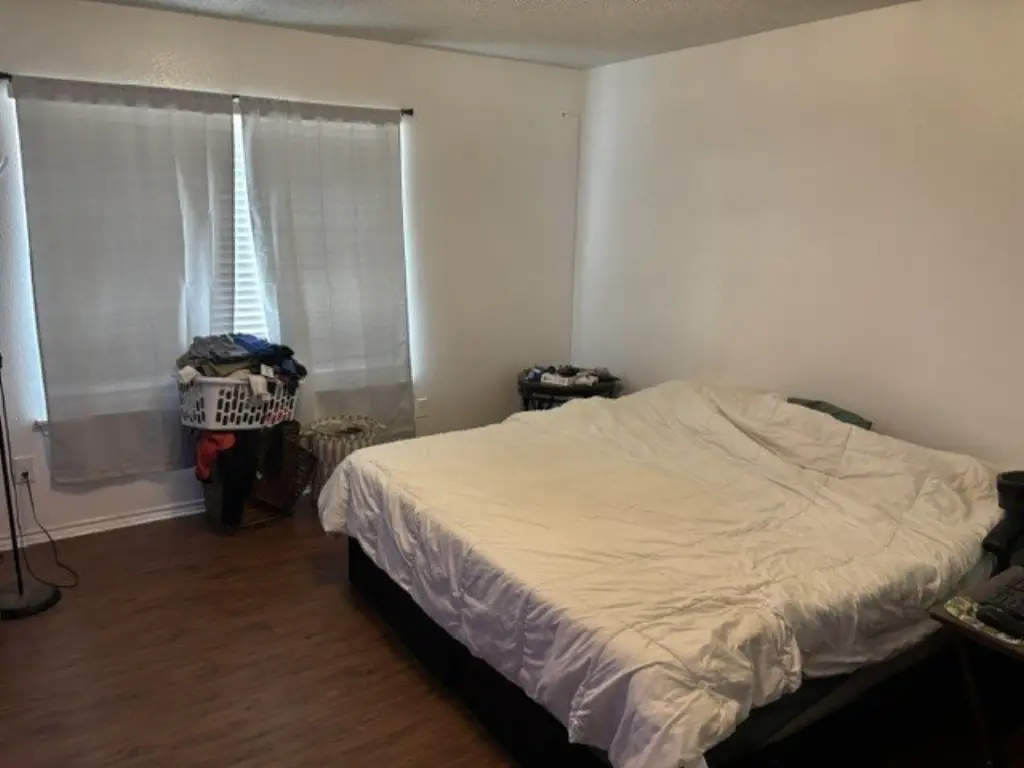 Picture 19