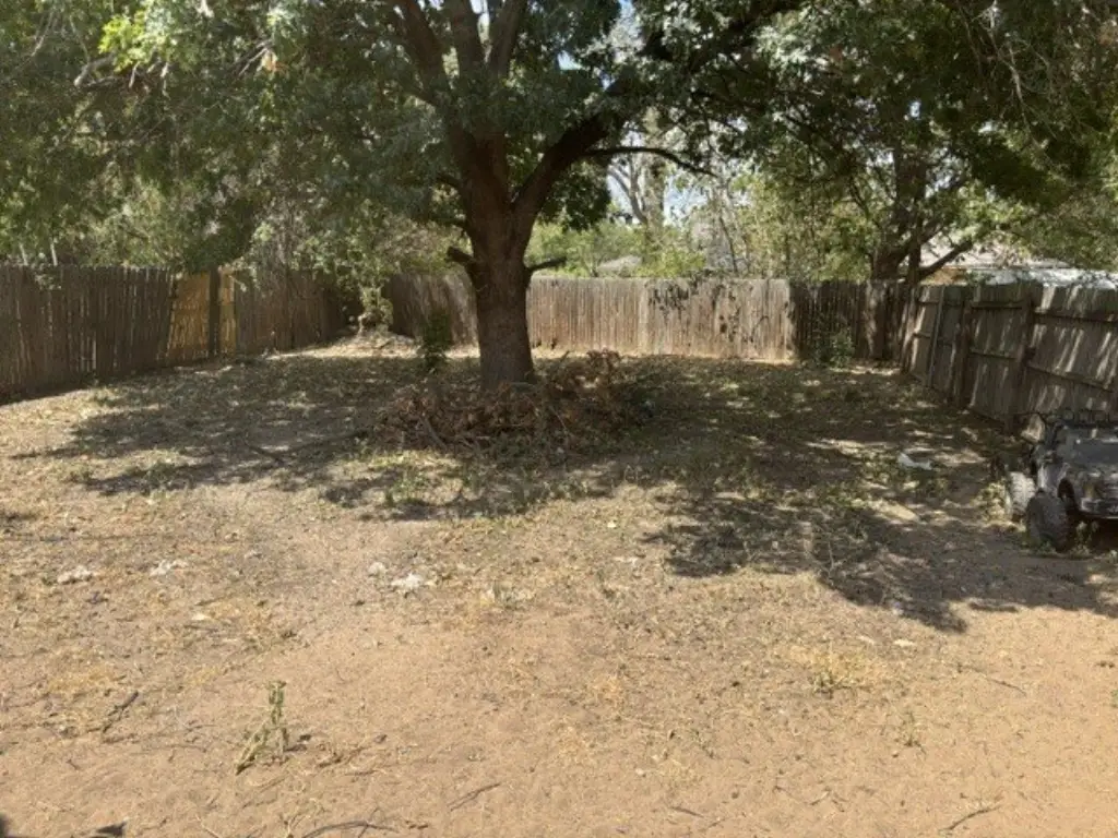 Picture 25