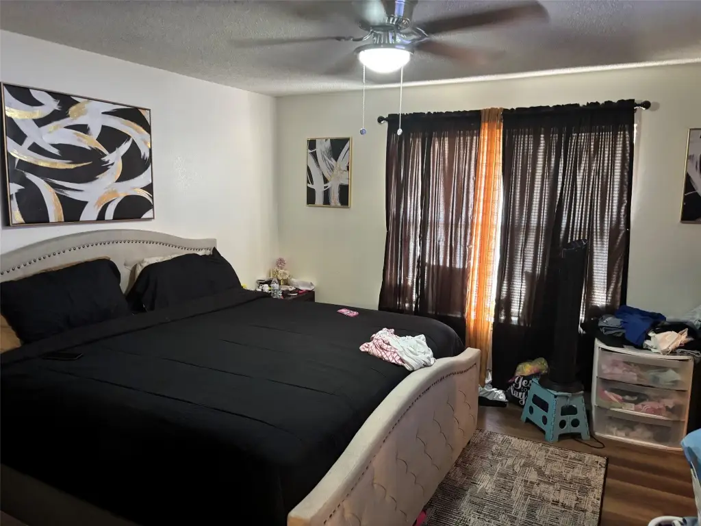 Picture 5