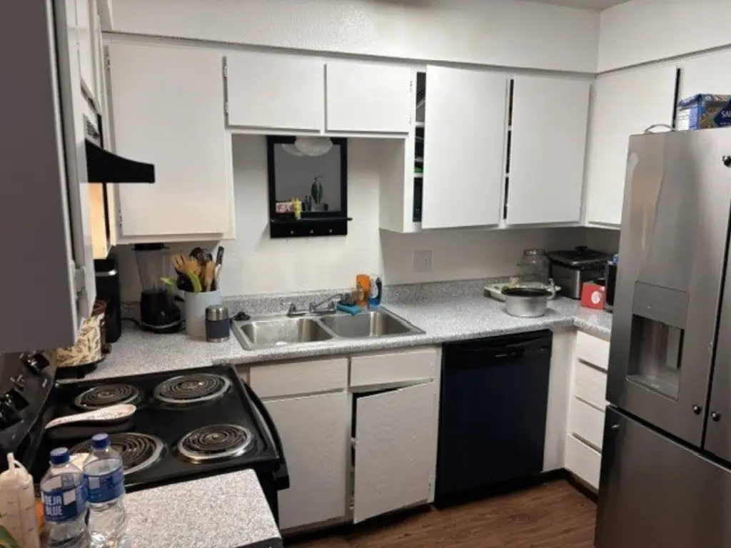 Picture 16
