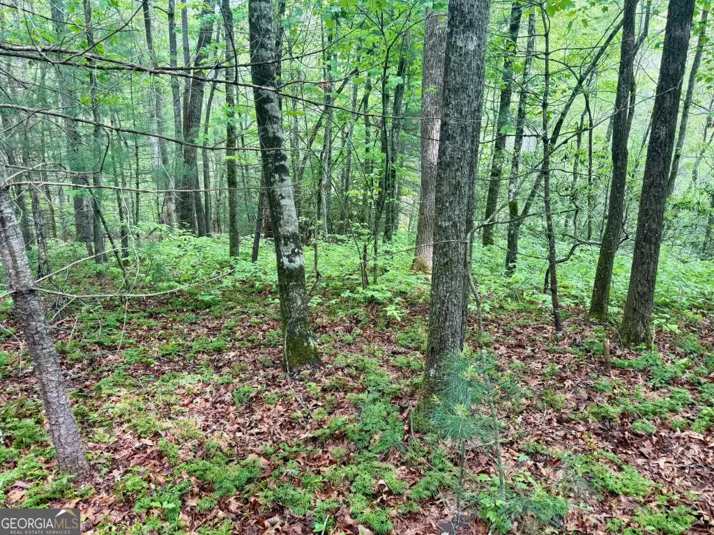 Picture 23