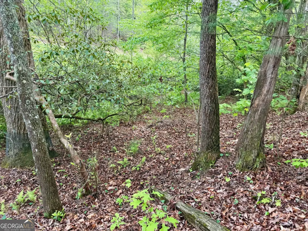 Picture 22