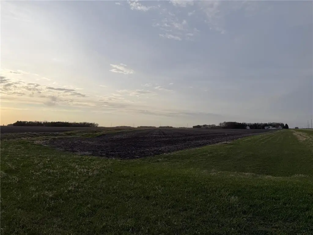 Picture 19