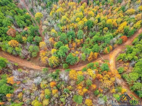 Lone Star Acreage with Highway Frontage
