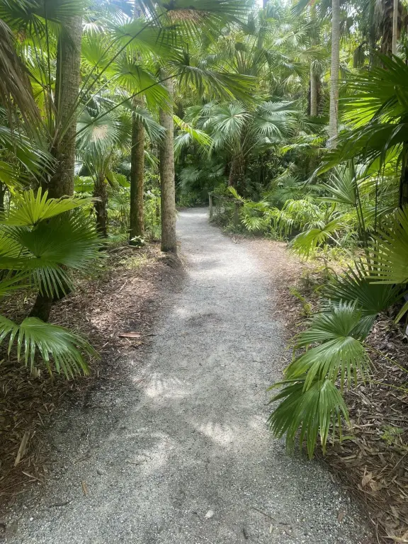Picture 14