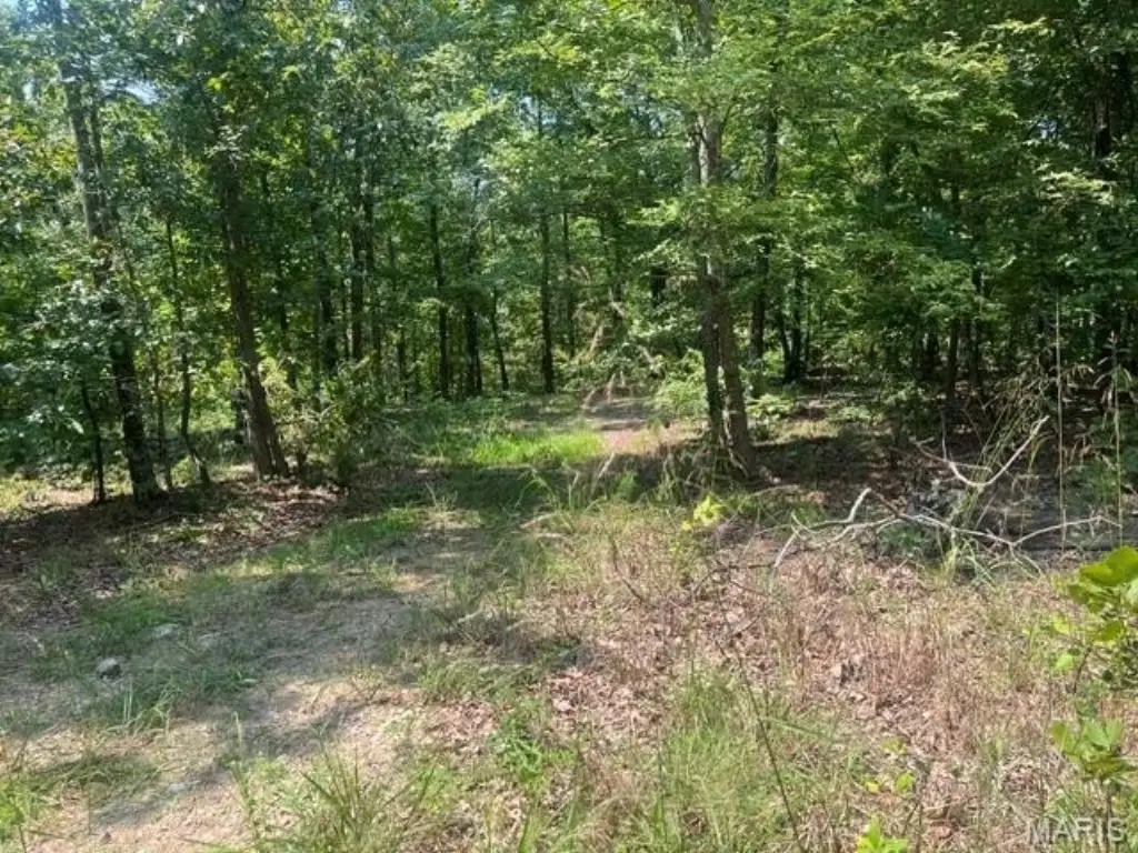 Picture 9