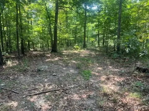 Ozarks Timberland Tract