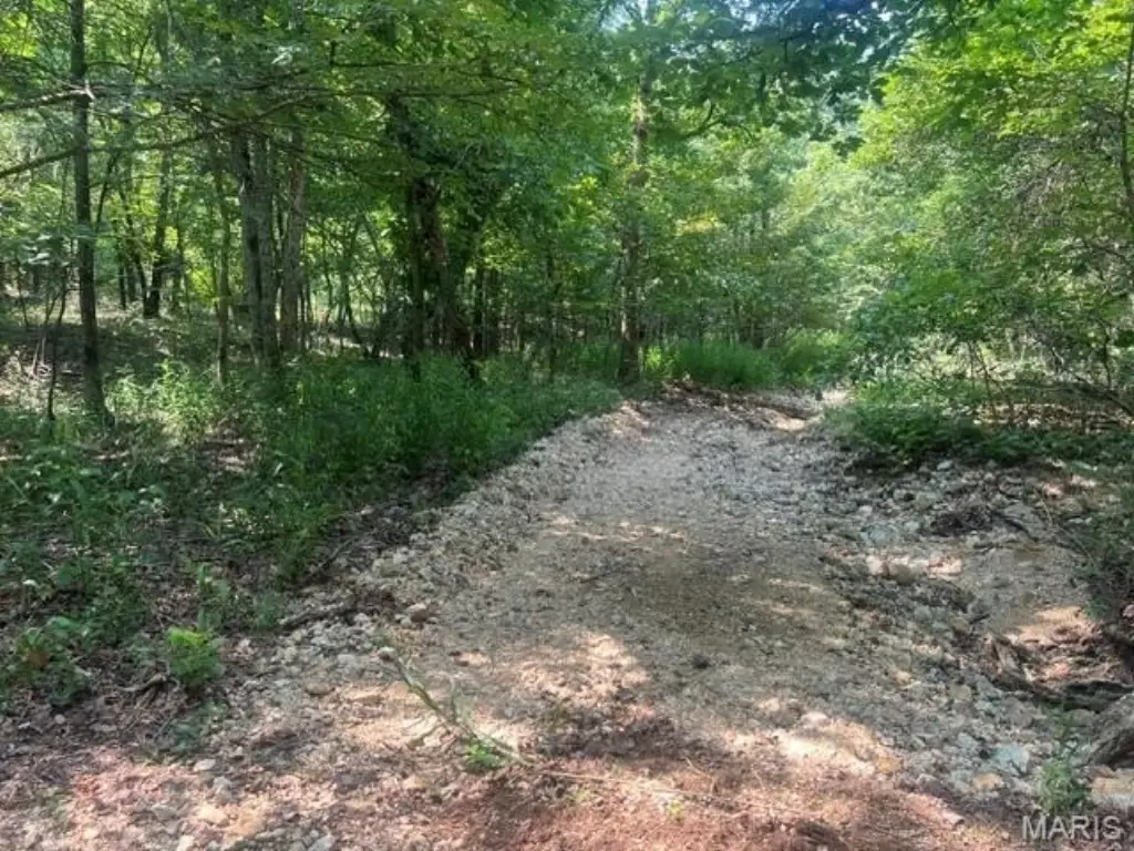 Picture 7