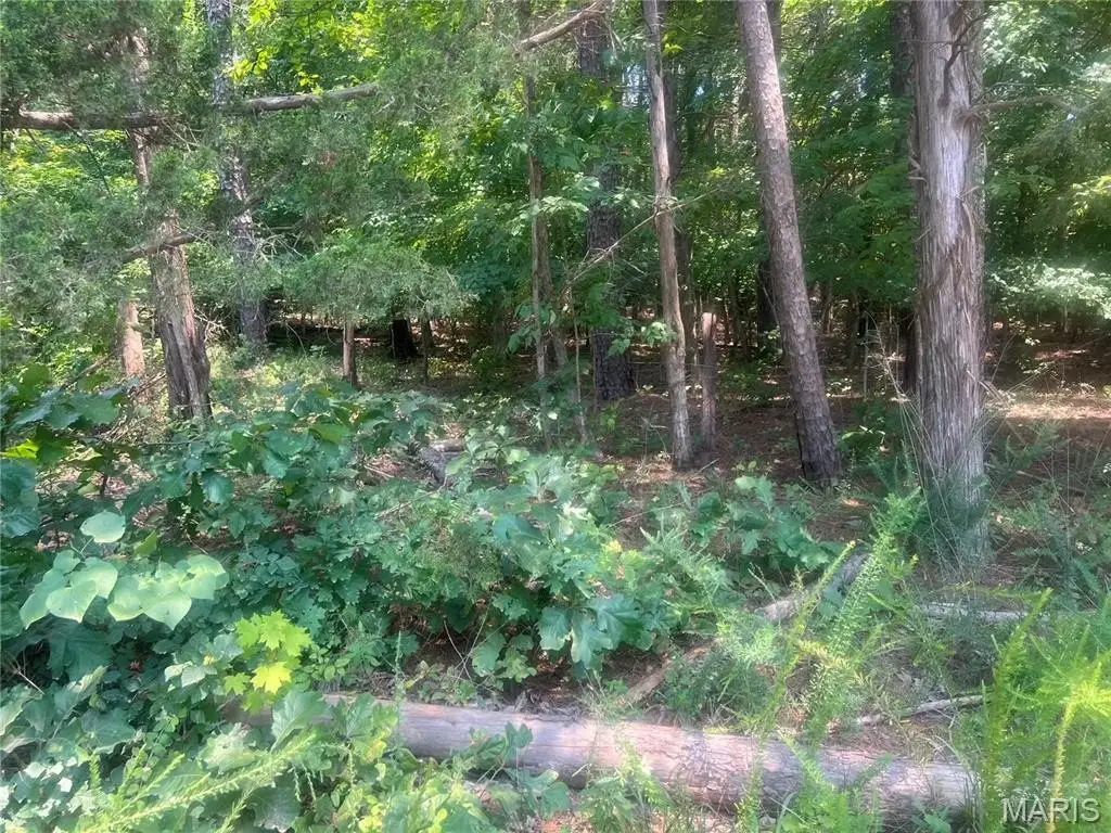 Picture 12