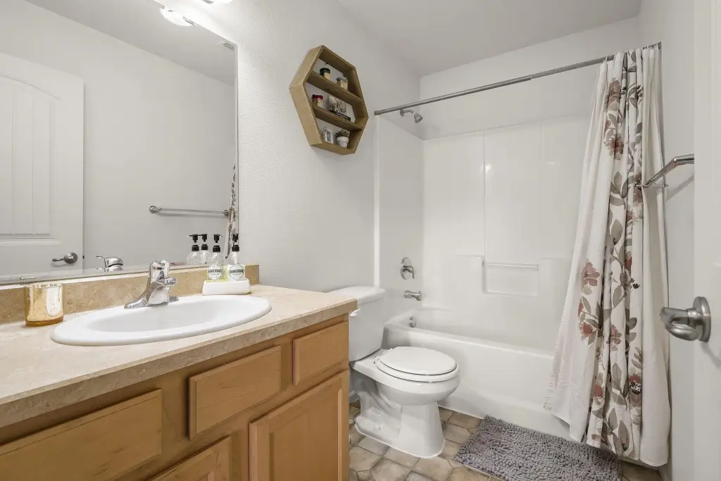 Picture 16