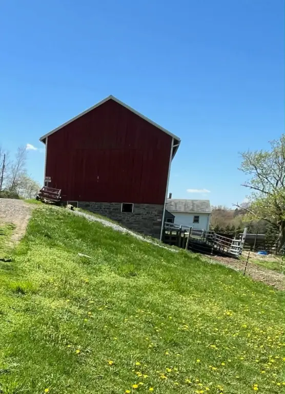 Picture 15