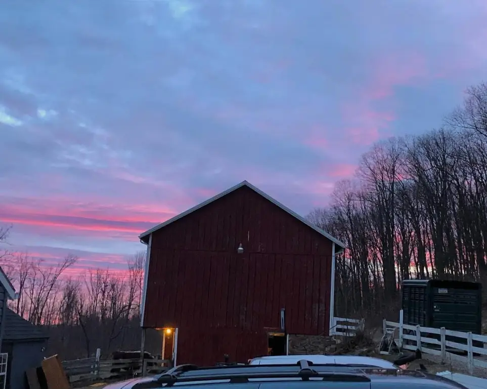 Picture 14