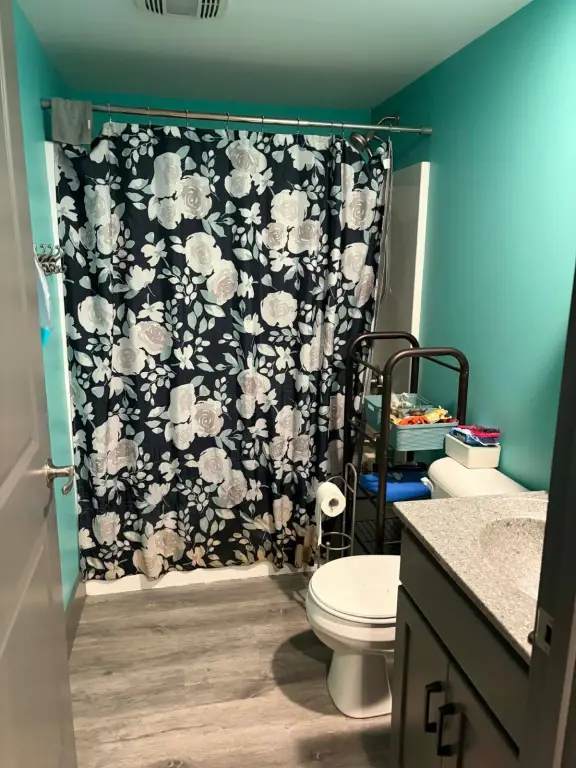Picture 43