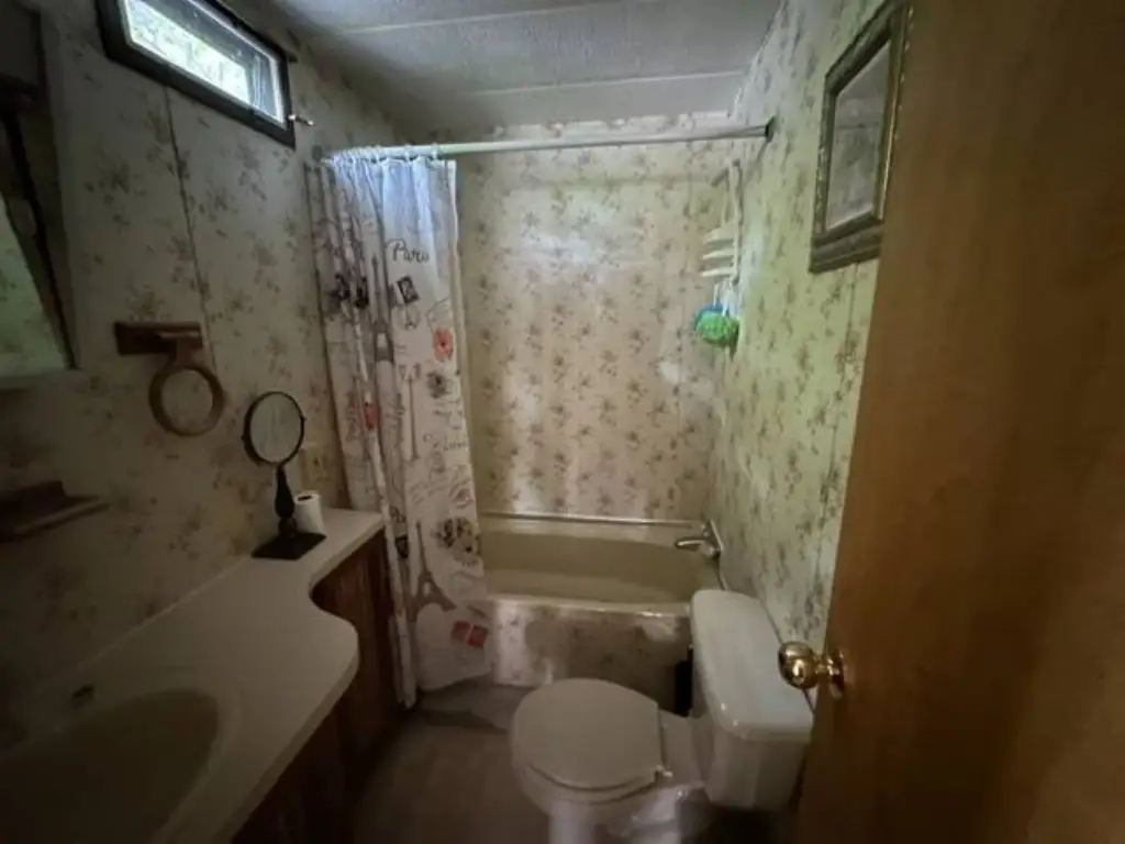 Picture 5