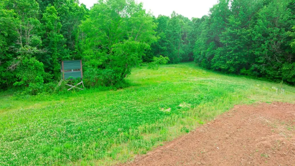 Picture 10