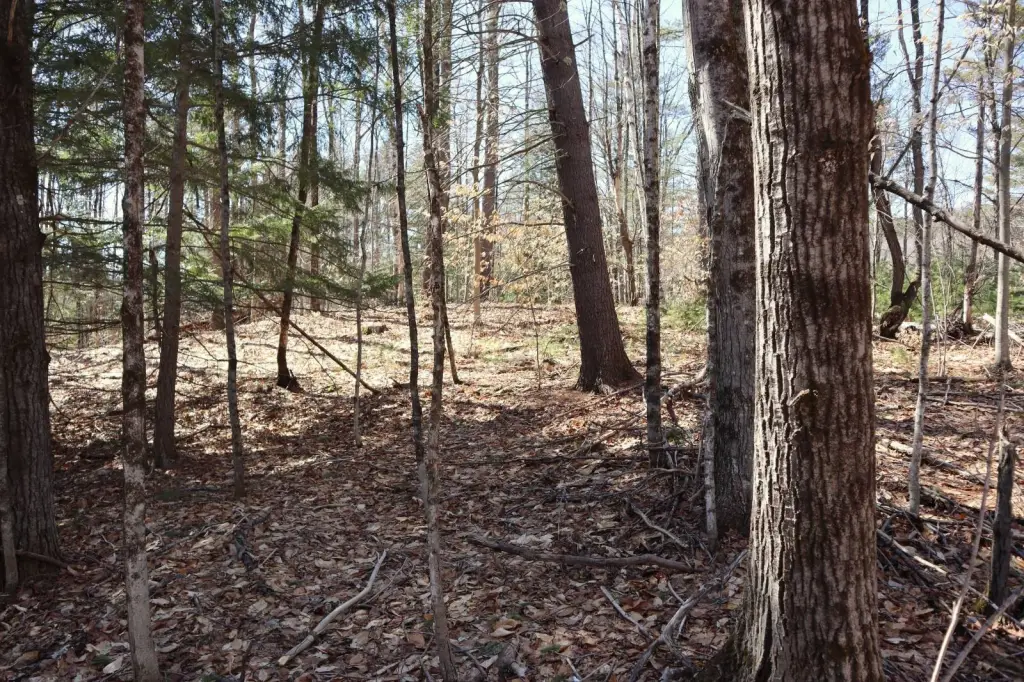 Picture 7