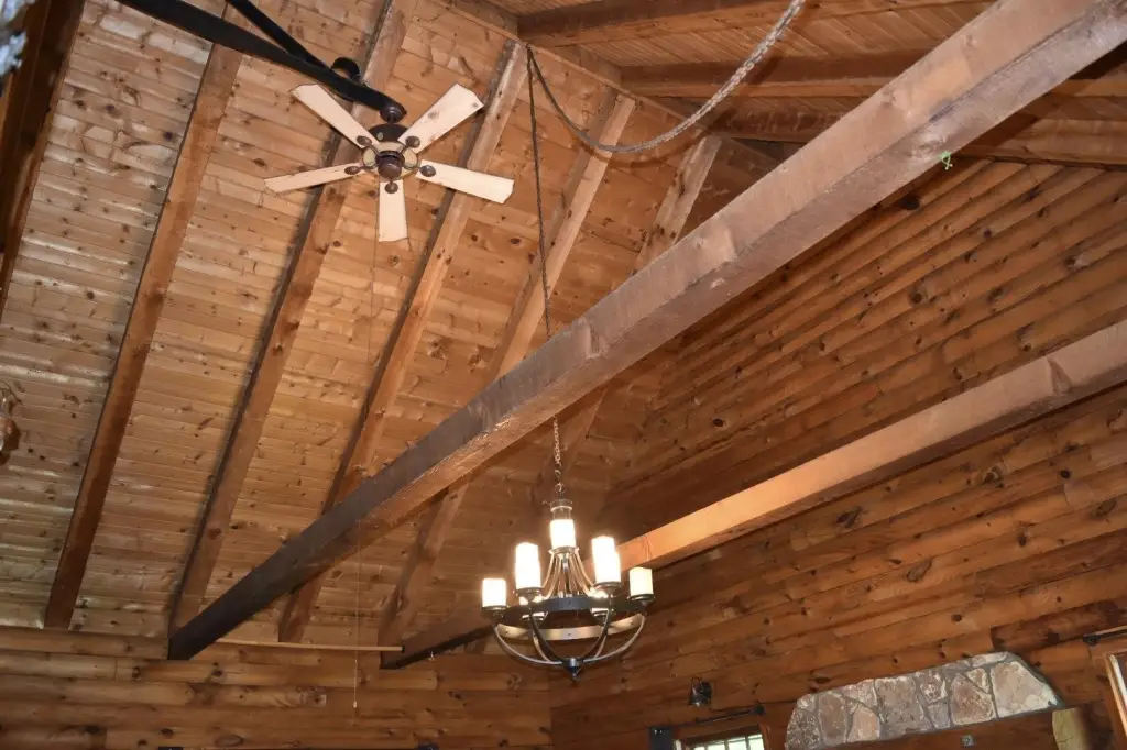 Picture 8
