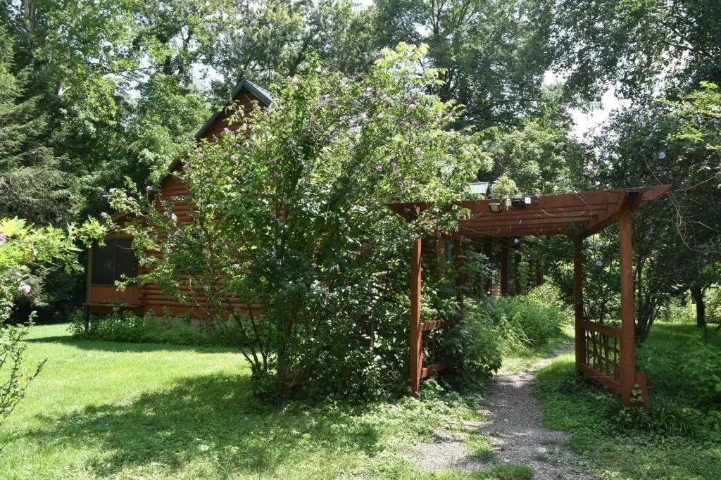 Picture 31