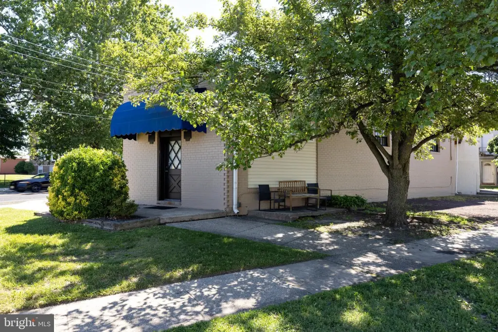 Picture 21