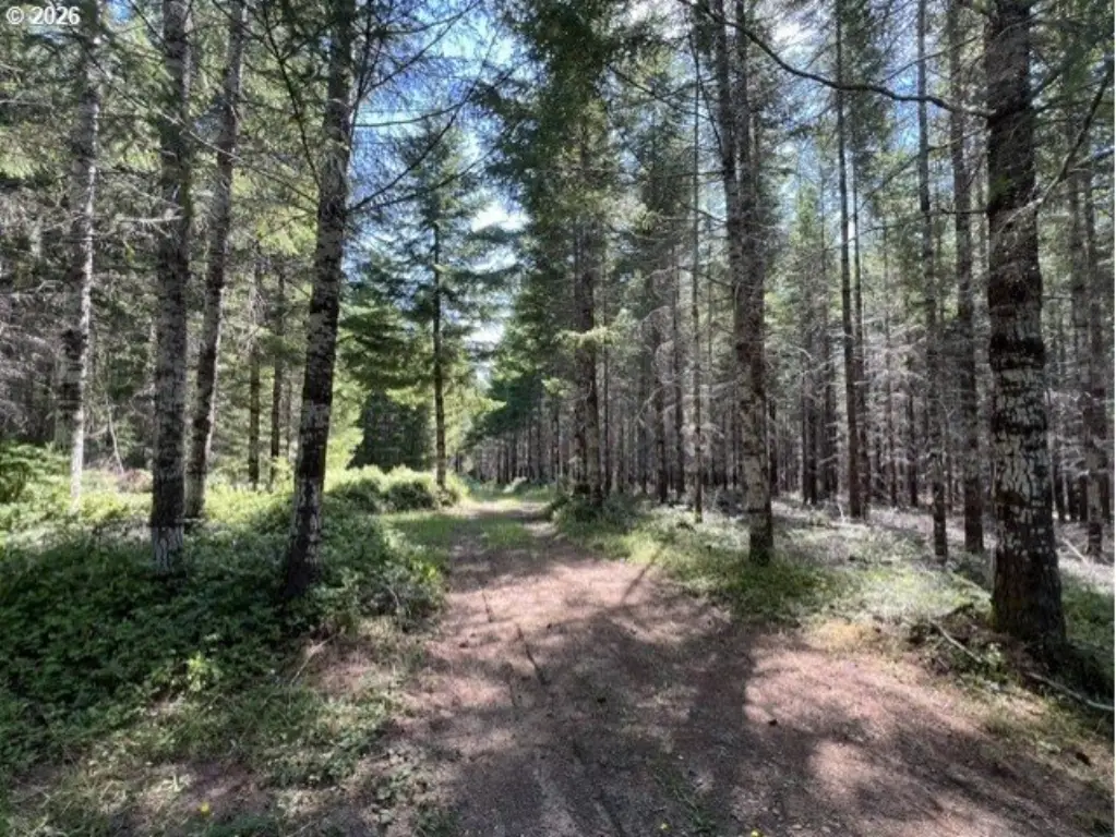 Picture 23