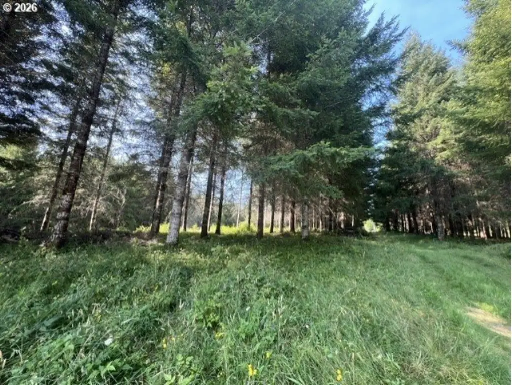 Picture 22