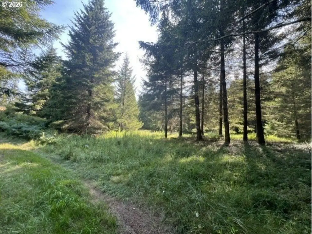 Picture 33