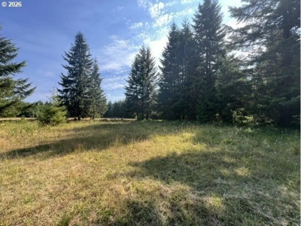 Picture 31