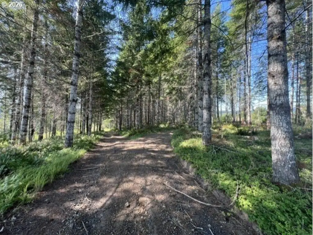 Picture 35