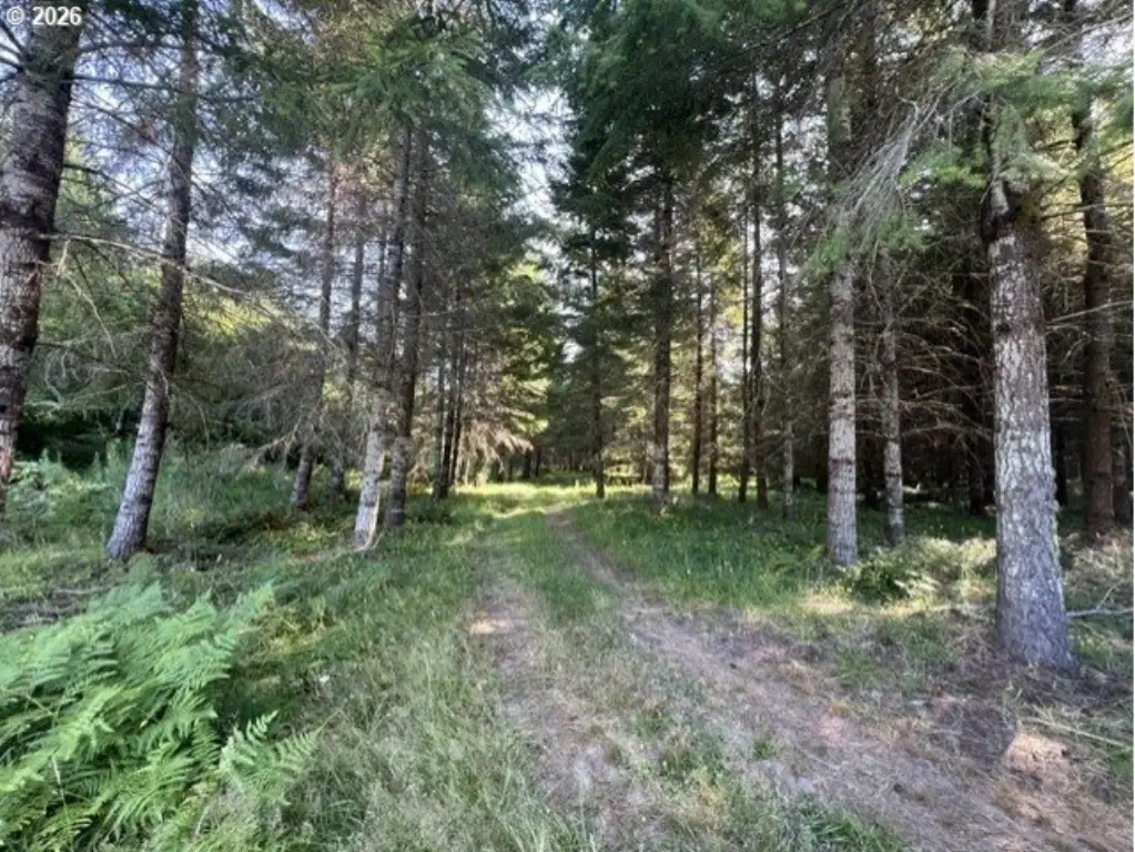 Picture 46
