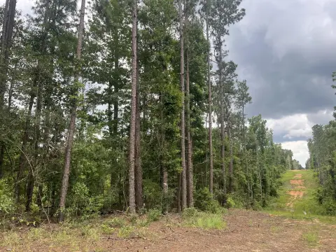 Lumberton, MS Rolling Hills Land