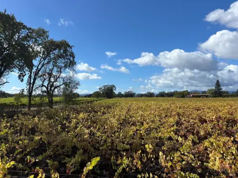 Vineyard Lot with Panoramic Views