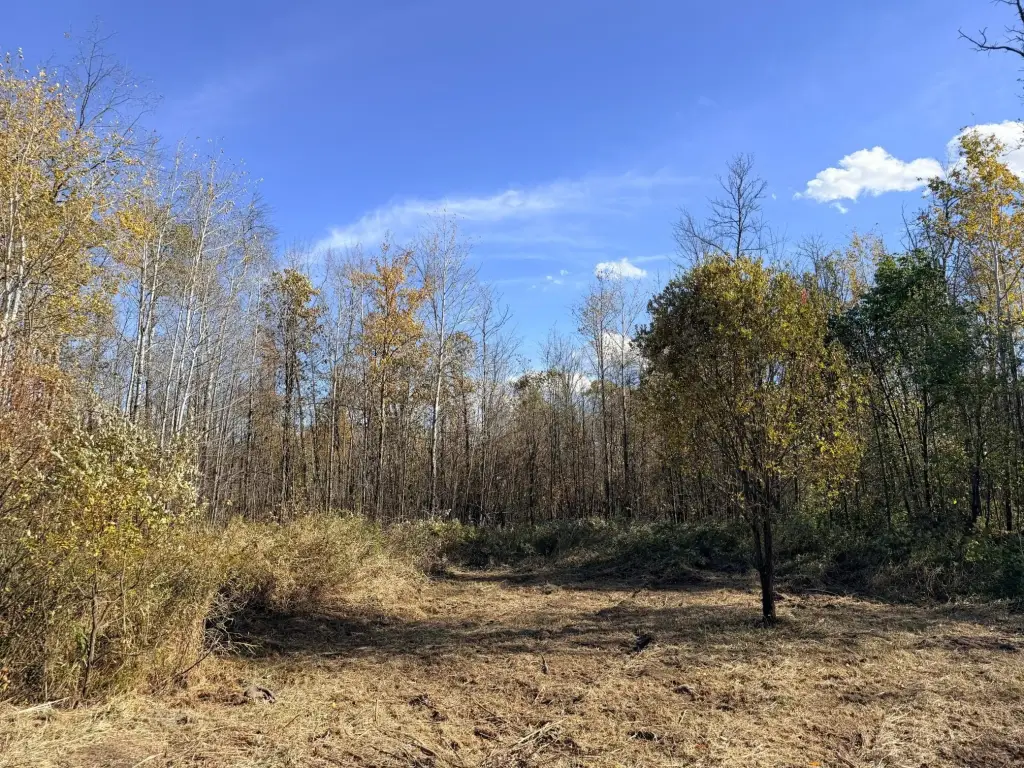 Picture 25