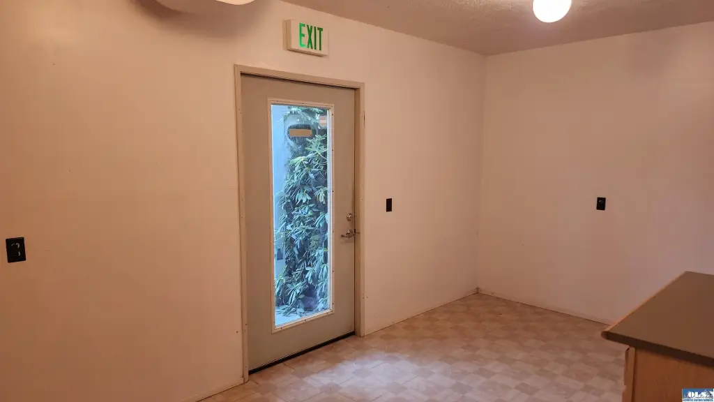Picture 25