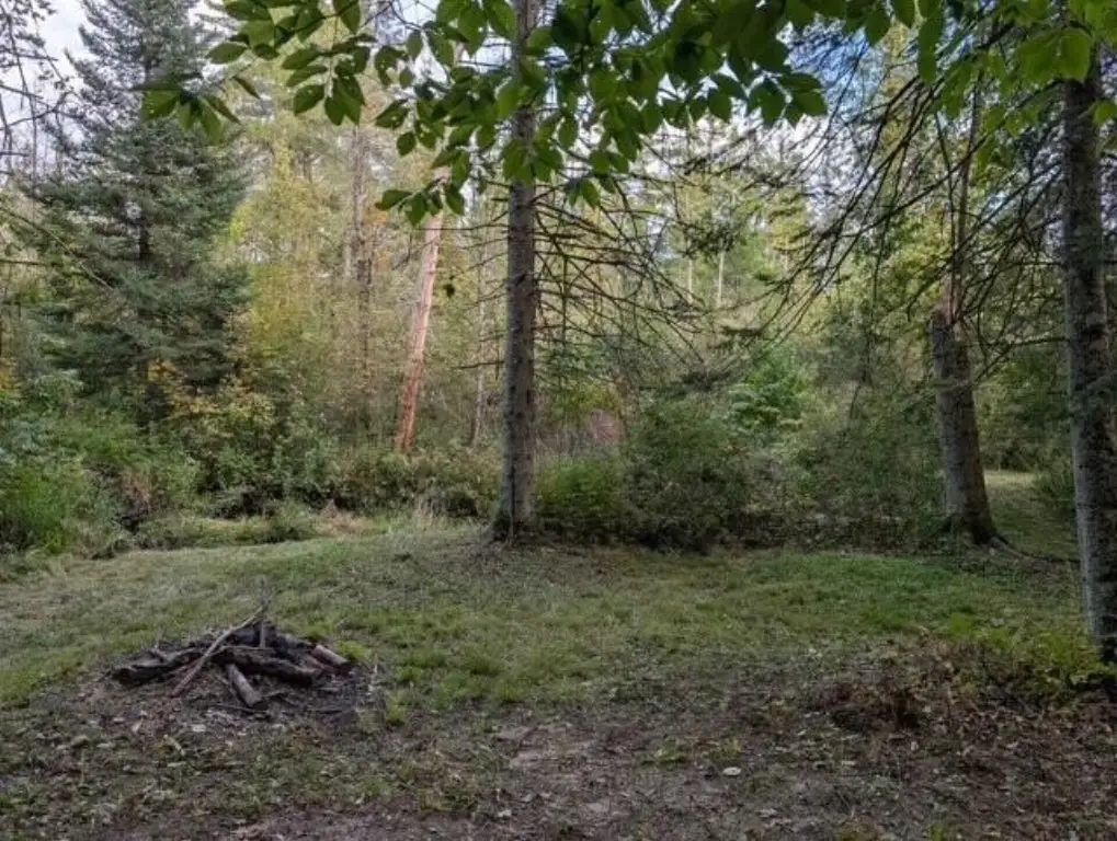 Picture 13