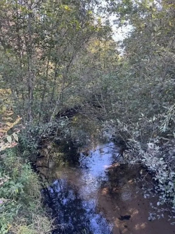 Picture 10