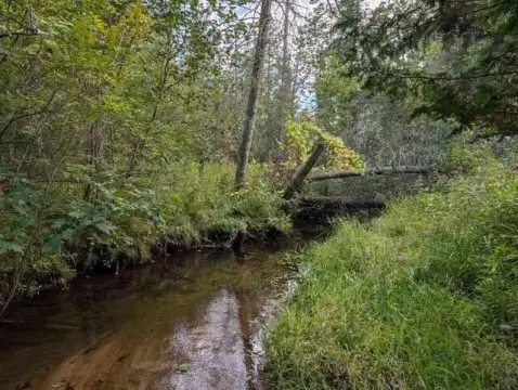 Waterfront Land with Creek Frontage
